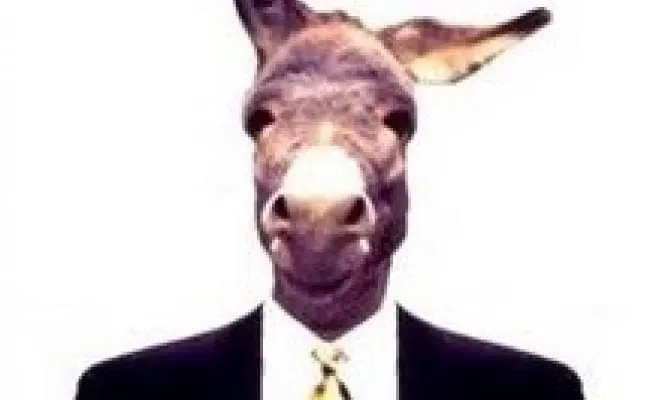 Foto de cabeza de burro, que sabe el burro de alfajores