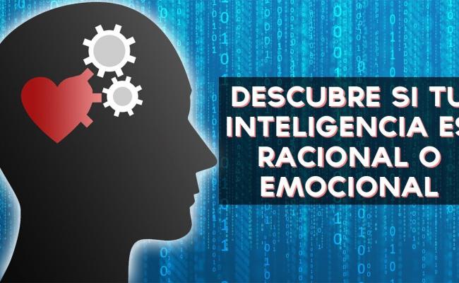imagen de una cabeza con corazon y mecanismo sobre Inteligencia emocional e inteligencia racional