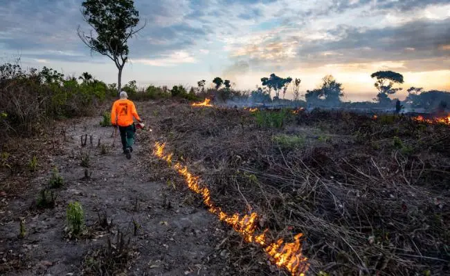 Incendiando la pradera