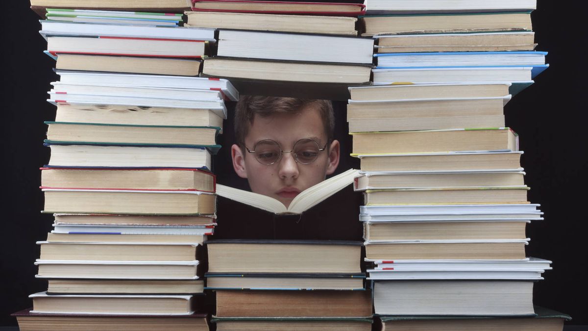 librosamistad